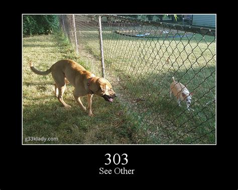 303 See Other .